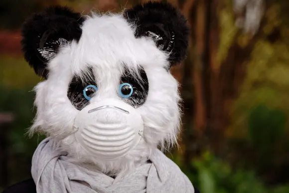 Unibet Casino Suporte